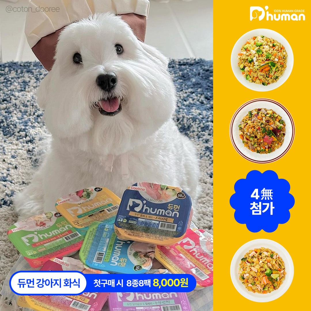 듀먼 퍼포먼스